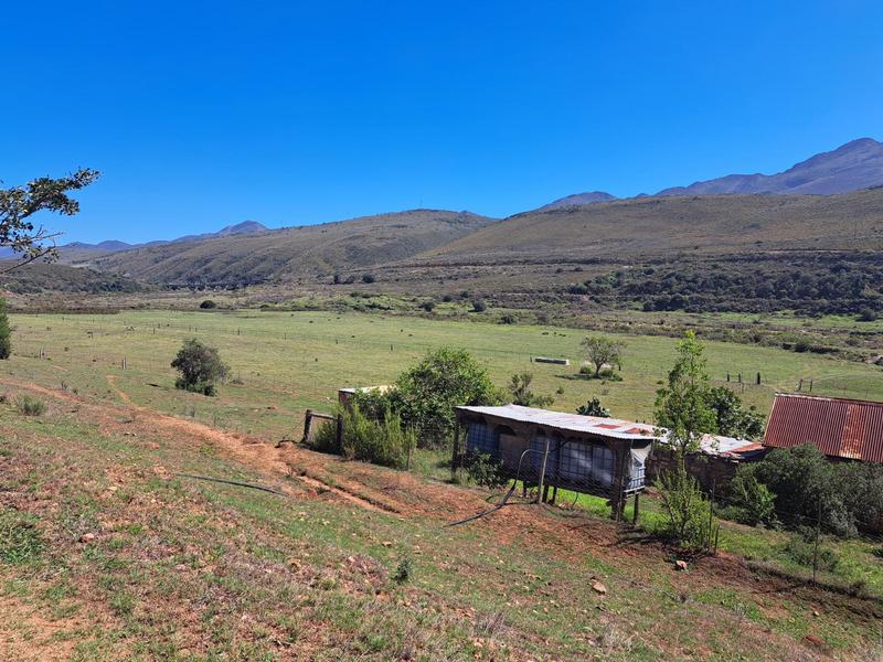 0 Bedroom Property for Sale in Kareedouw Eastern Cape